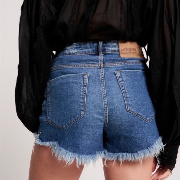 One by One Teaspoon Sz 24 High Waisted Distressed Bonita Denim Jeans Shorts - Picture 1 of 11